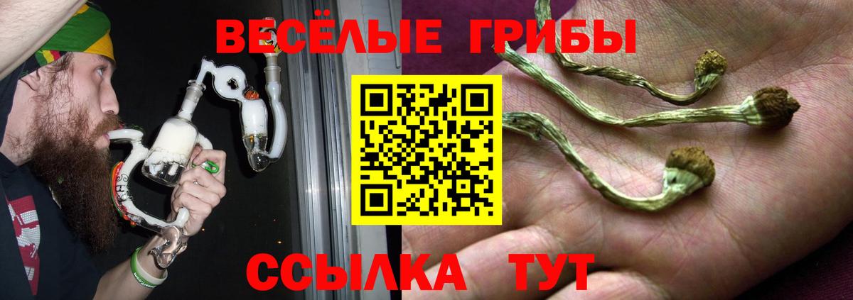 Галлюциногенные грибы GOLDEN TEACHER Семёнов